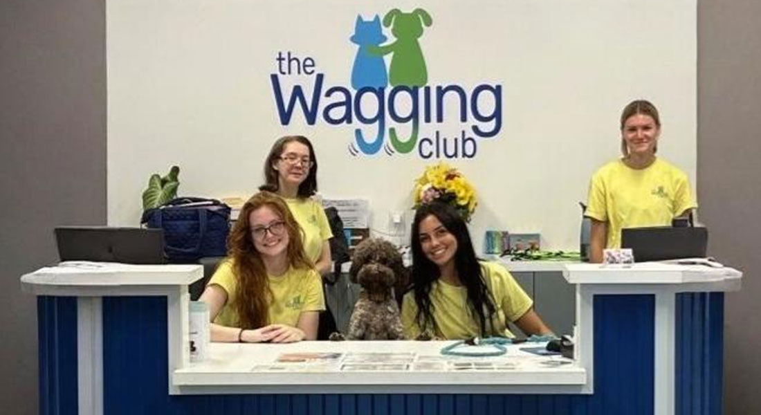 Four women in yellow shirts stand and sit behind a reception desk with a small brown dog at the center. Behind them is a sign that reads "The Wagging Club" with dog and cat graphics.