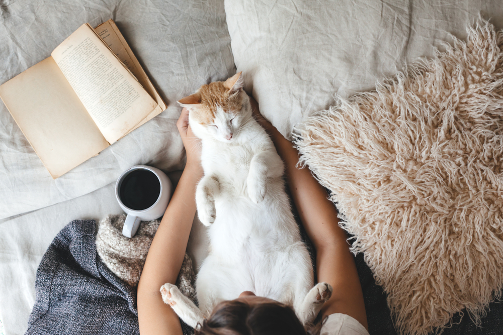 A person lies on a bed holding a relaxed orange and white cat on its back, reminiscent of a pampered guest at a pet resort. An open book and mug of coffee rest nearby on the cozy, textured blanket next to a fluffy pillow.